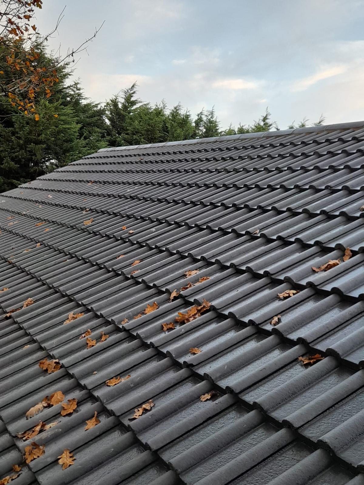 London Roofing Specialists